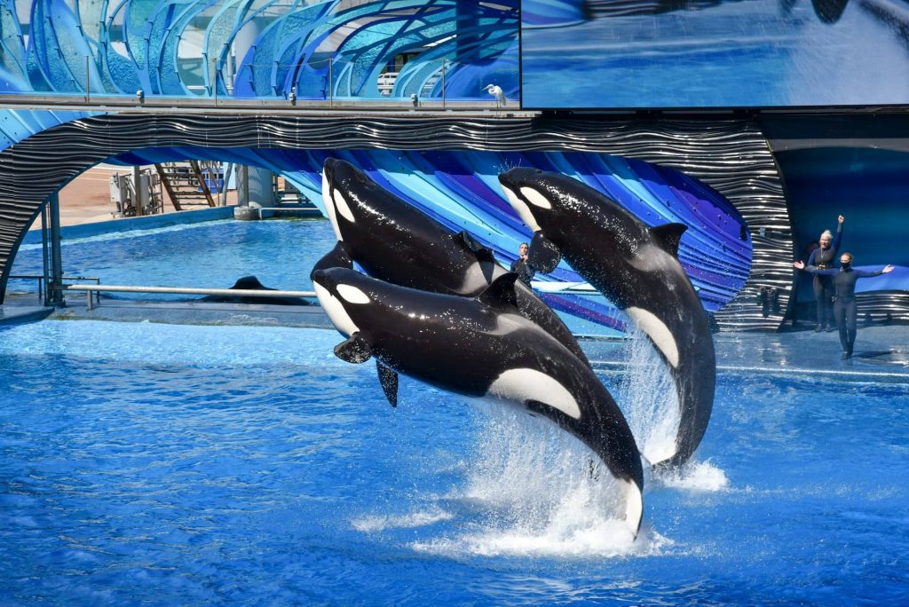 SeaWorld Orlando Tickets