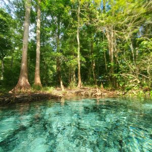 Book Florida Excursions